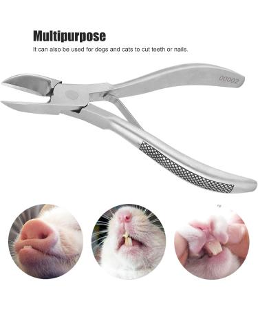 Pwshymi Stainless Steel Dental Forceps for Piglets - Comfortable Easy to Clean Dental Scissors for Newborn Teeth Trimming - Buy Online on SooperMarket.com
