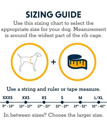 Ruffwear Hi & Light Dog Harness | No Pull Fully Adjustable Lightweight | Sizes XXXS to XL | Blue Dusk - Perfect for All Breeds - Buy Online on SooperMarket.com