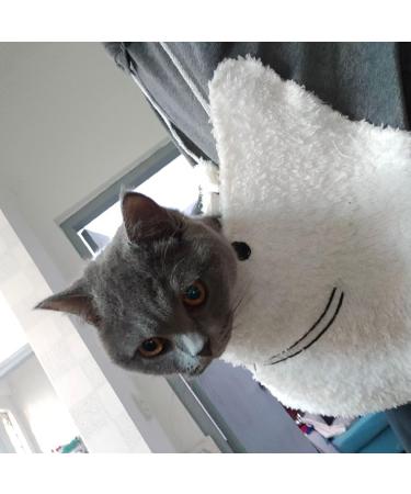 Women Cute Cat Ear Hoodies Pet Carrier Sweatershirt Puppy Kitten Pouch Jumper Long Sleeve Pullover Tops XL White - Buy Online on SooperMarket.com