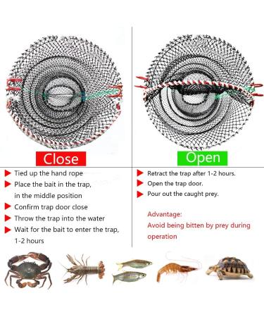 Drasry Portable Crab Trap Bait Net 23.6in x 11.8in - Collapsible Fishing Trap for Lobster, Crawfish, Shrimp - Black, 1 PCS - Buy Online on SooperMarket.com