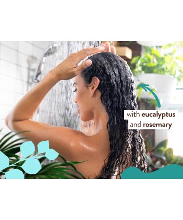 Babo Botanicals Eucalyptus Remedy Shampoo & Wash - Eucalyptus & Rosemary Oils - EWG Verified, Vegan & Cruelty-Free - 16 fl. oz - Buy Online on SooperMarket.com
