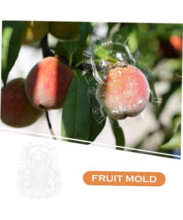 Kisangel 2pcs Shaped Fruit Novel Shaping Adorable Forming Shaper Accessories Watermelon - Buy Online on SooperMarket.com