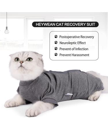 HEYWEAN Cat Recovery Suit After Surgery E-Collar Alternative Pet Medical Surgical Shirt Breathable Home Long Sleeve Cat Clothing L (Pack of 1) Grey - Buy Online on SooperMarket.com