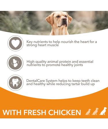 IAMS Complete Dry Dog Food for Senior 7+ Large Breeds with Chicken 12 kg Chicken 12 kg (Pack of 1) - Buy Online on SooperMarket.com