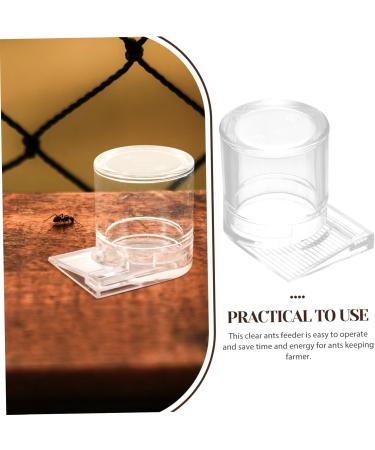 BESPORTBLE Pet Water Feeder Ants Waterer Ant Nest Entrance Feeder Ant Water Feeder Ant Nest Water Cup Ant Watering Station Ant Waterer for Garden Ant Nest Supplies Ant Feed Bowl Ant Keeping - Buy Online on SooperMarket.com