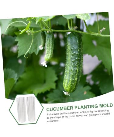BCOATH 2pcs Vegetable Shaping Fruit Vegetable Forming Mould Kit Watermelon Picking Garden - Buy Online on SooperMarket.com