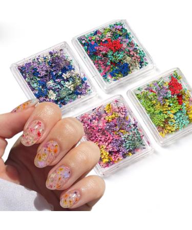 4Box 3D Dried Flowers Nail Art Stickers Colorful Dry Flower for Nails Kit - DIY Mini Mix Flower Petals Nail Stickers Natural Floral Dried Flower Decals for Nails Design Manicure Accessories Craft