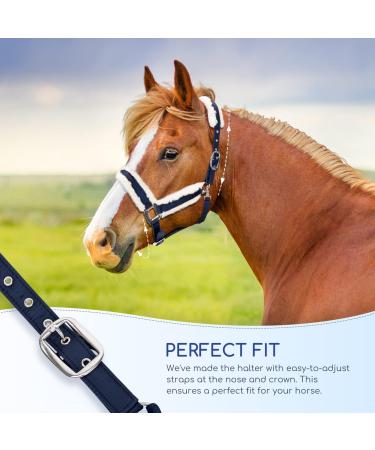 Nobleza Knotted Halter for Horses - Padded Nose & Neck Dark Blue | Ideal for Riding & Training - International Shipping Available - Buy Online on SooperMarket.com
