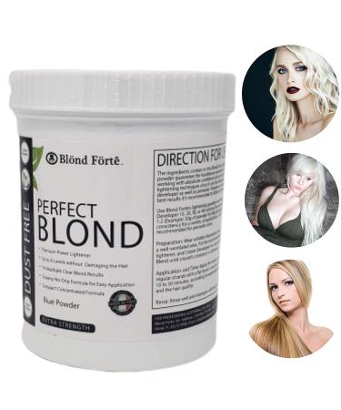White Lightening Powder 30 Volume Bleach Kit with 9% Developer - 1.1lb Tub - Buy Online on SooperMarket.com