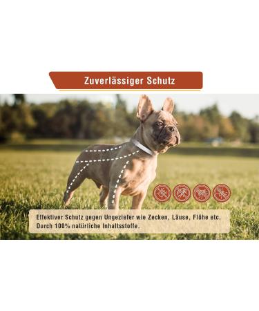 Animal Vita Tick Collar for Small Dogs | 100% Natural | 8 Months Tick Protection - Shop Now! - Buy Online on SooperMarket.com