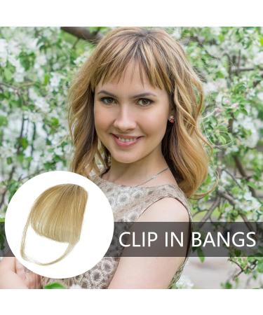 Dranng Bang Extensions Clip Human Hair French Bangs Clip on Fake Bangs Fringe Natural Color Fringe Hairpieces Stylish Neat Bangs Hair Extension for Girls Women gray gold - Buy Online on SooperMarket.com