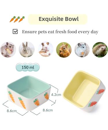 JanYoo Hamster Food Bowl Guinea Pig Feeder Accessories Ceramic for Cage with Water Supplies for Bunny Blue Yellow 150 ml (2 Pack) C-Blue+Yellow Pack of 2 - Buy Online on SooperMarket.com