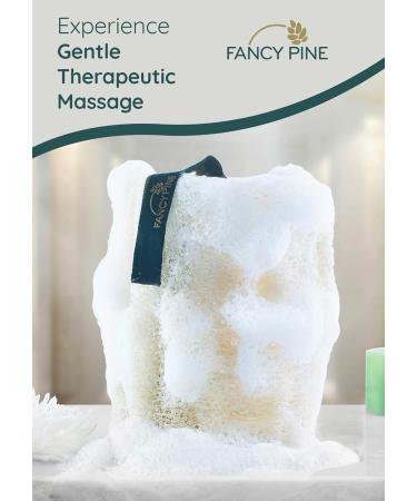 100% Natural Egyptian Luffa Sponge Set for Peeling Skin | Organic Dusch-Luffa Body Sponge for Cellulite & Dry Skin - Buy Online on SooperMarket.com