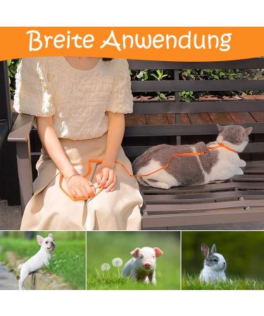 Adjustable Nylon Cat Leash & Harness Set | Soft Orange Cat Dishes for Kittens Puppies & Rabbits - Buy Online on SooperMarket.com