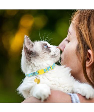 VKPETFR Breakaway Cat Collars with Bell & Cute Pendants - 3 Pack Adjustable Safety Kitten Collars - Ideal Decoration for Girl Boy Cats, Puppies, and Small Pets - Buy Online on SooperMarket.com