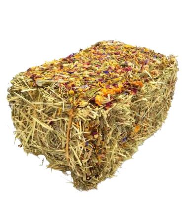 Springtime Forage Infused Baby Hay Bale for Rabbits and Guinea Pigs Fresh Fragrant Green Feeding Timothy Hay Dust Free High Fibre Dried Forage