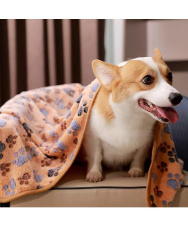 Premium Fleece Pet Blanket Flannel Throw Pack - Super Soft & Fluffy - Paw Small - 3 Pack - Buy Online on SooperMarket.com