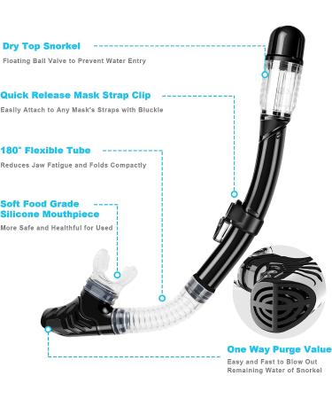 Zipoute Snorkel Set for Adults - Anti-Leak Panoramic Lens, Adjustable Gear for Scuba Diving and Swimming (Black) - Buy Online on SooperMarket.com