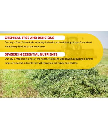 Shorefields Fresh Meadow Hay - Animal Feeding Hay Bale for Rabbits Guinea Pig Horses Hamsters Ponies - Nutritious Grasses & Wildflowers Blend - Green & Dust Free - Buy Online on SooperMarket.com