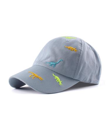 Xiaohawang summer baseball cap for young girls adjustable sport cap children with dinosaur embroidery peaked cap children and protection 2-6 years 2-6 years (sky blue)