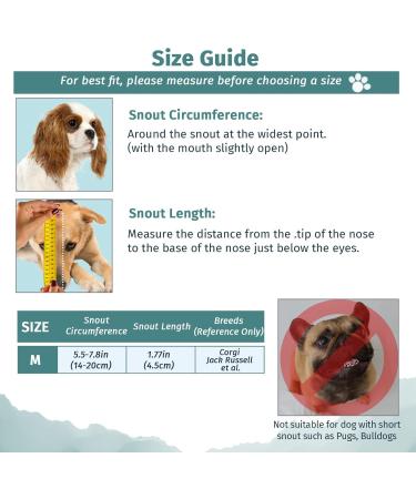 Shop Wllhyf Soft Nylon Dog Muzzle | Breathable & Comfortable Biting Chew Prevention | Adjustable Muzzle for Small Dogs (Red M) - Buy Online on SooperMarket.com