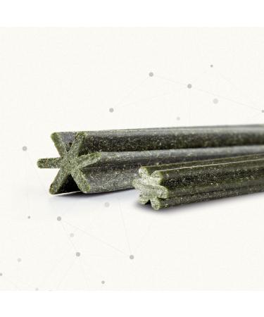 Beaphar Dental Sticks for Small Dogs - Natural Sea Algae Dental Care Snack 7 Pieces 112g - Sugar-Free Treats for Healthy Teeth - Buy Online on SooperMarket.com