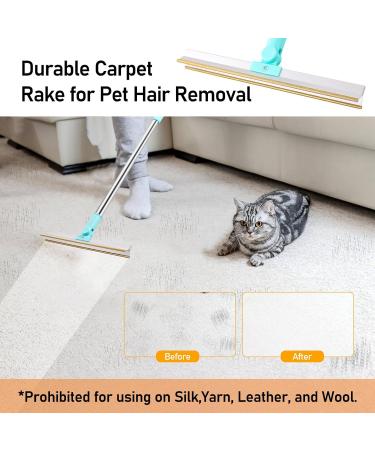 Portable Self-Cleaning Foot Remover for Pets | Lint Brush for Dog & Cat Hair | Reusable Carpet Cleaner - Buy Online on SooperMarket.com