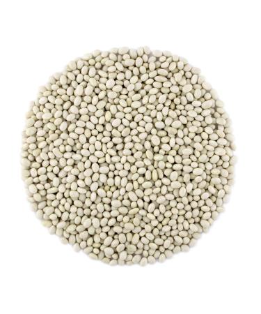 Organic Navy Beans Raw non GMO Vegan Bulk - 5LB Organic Navy Beans 5 Pound (Pack of 1)