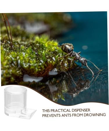 BESPORTBLE Pet Water Feeder Ant Keeping Ant Watering Cup Ant Feeding Cup Ant Bottle Feeder Ant Watering Station Ant Waterer for Garden Ant Cups Water for Ant Garden Ants Feeding Device - Buy Online on SooperMarket.com