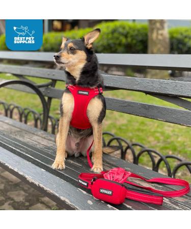 Voyager Step-In Air Dog Harness - All Weather Mesh for Small & Medium Dogs - Buy Online on SooperMarket.com