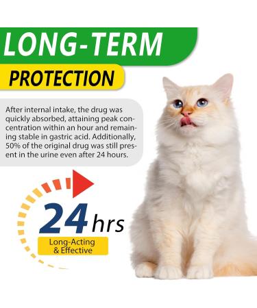 Natural Antibiotics for Cats 2 PCS Cat Antibiotics- Cat Multivitamin is anti-bacterial effect antibiotics for cats Supports Immune & Cats Allergy Relief Health Supplies Cats UTI Antibiotics(60ml) - Buy Online on SooperMarket.com