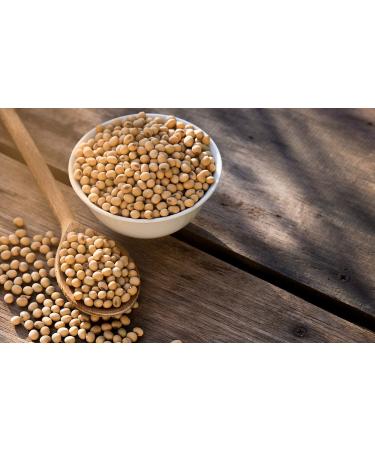 Mynatura Organic Soybeans - 1000g Untreated Dried Soybeans | Natural High-Quality Legumes for Healthy Living - Buy Online on SooperMarket.com