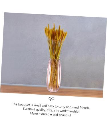 Abaodam 100pcs Dried Wheat Ears Bouquet Dried Rabbit Tail Grass Dried Floral Dried Wheat Stalk Picks Decked Wedding Ceremony Decorations Desktop Wheat Ear Rural Dried Flowers. Real Flower Yellow 52X10CM - Buy Online on SooperMarket.com