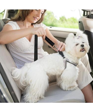 Nutabevr Adjustable Dog Car Belt - 2-Piece Safety Strap with Elastic Jerk Damping & Strong Carabiner - Perfect for Dogs & Cats - Buy Online on SooperMarket.com