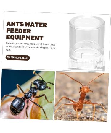 COSMEVIVI Pet Water Feeder Ant Keeping Ants Food Dispenser Ants Feeding Device Ant Water Drinking Cup Ant Nest Water Cup Ant Nest Entrance Feeder Ant Waterer Cup Ant Keeper Tools Ant Bowl - Buy Online on SooperMarket.com