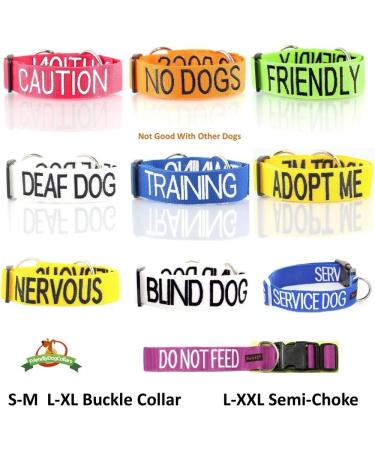 NERVOUS FriendlyDogCollars Colour Coded Dog Accident Prevention Leads 1.2m Prevents Dog Accidents By Letting Others Know Your Dog In Advance Award Winning NERVOUS Yellow - Buy Online on SooperMarket.com