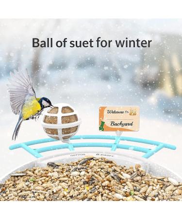 Netvue Multifunction Bird House Stand & Feeder | Versatile Bird Feeding Station for Wild Birds - Ideal for Potions Fruits & Vegetables - Buy Online on SooperMarket.com