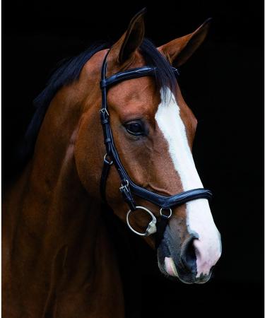 Buy Horseware Rambo Micklem Deluxe Competition Bridle - Customizable Colors & Sizes - Black M - International Shipping - Buy Online on SooperMarket.com