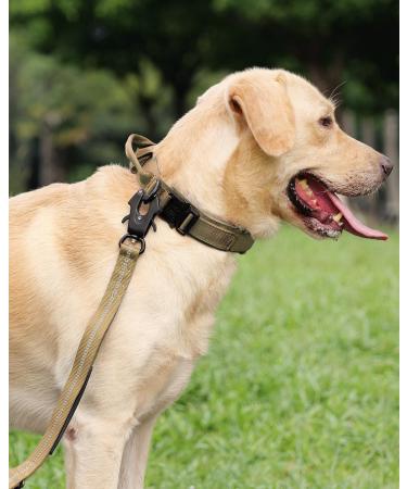 Joyal Tactical Dog Collar | Adjustable Dog Collar with Handle for Medium-Sized Dogs | QR Code Feature | Durable Khaki Design - Buy Online on SooperMarket.com