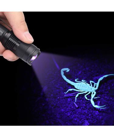 Zerodi's flashlights purple flashlight 395/365 Nm black light flashlight portable light detector for invisible ink pencils dogs cats pets urine stains mini-tubes for 395 nm