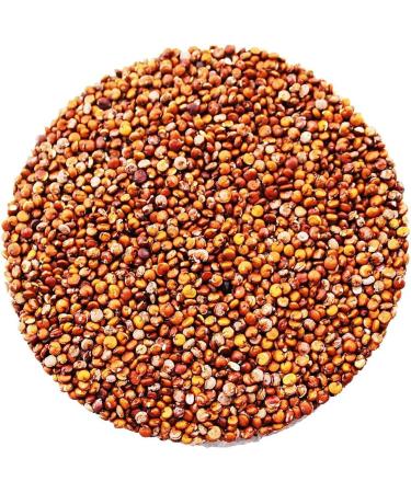 Organic Quinoa Grain (Red) 500g (BWFO) - Buy Online on SooperMarket.com