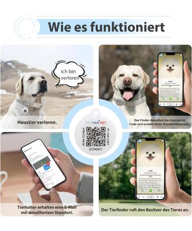 Personalized Dog Stamps & Engraved QR Code Tags | Customizable Pet Profiles | 2PCS-30MM | Ideal for Dogs & Cats | International Shipping - Buy Online on SooperMarket.com