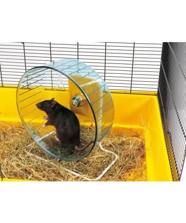 Savic Rolly Giant + Stand Exercise Wheel Dia 27 5 Cm - Buy Online on SooperMarket.com