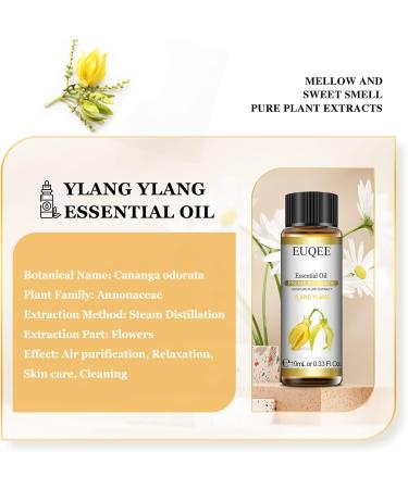 EUQEE Ylang Ylang Oil 10ml - Pure Natural Aromatherapy Essential Oil for Home Relaxation | Diffuser & Humidifier Use - 10.00 ml (Pack of 1) - Buy Online on SooperMarket.com