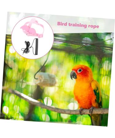 Beavorty 4 Sets Bird Leash Suspend Bird Training Bird Flying Harness Bird Harness Leashes Vest Clothing 12X6X1.3CMx4pcs Pinkx4pcs - Buy Online on SooperMarket.com