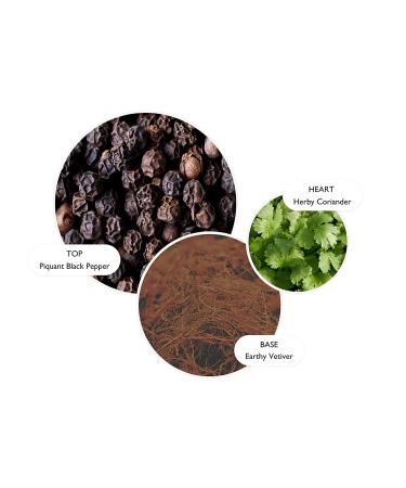 Molton Brown Re-charge Black Pepper Body Lotion - Luxurious Hydration for Men - Buy Online on SooperMarket.com