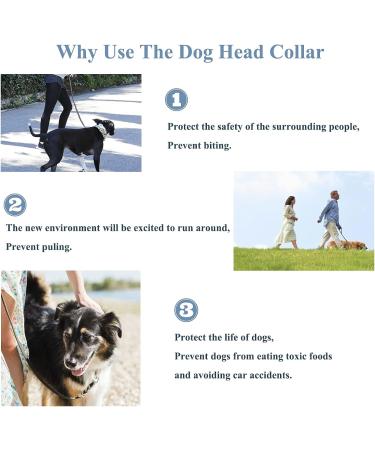 Padded Dog Head Collar for Anti-Pulling Control | Adjustable Head Harness in L Lake Blue - Buy Online on SooperMarket.com