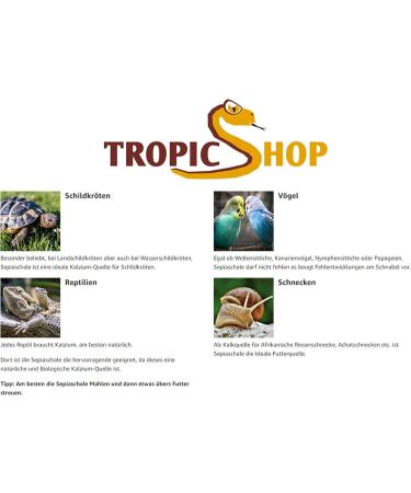 Premium Tropic Shop Sepia Shell Pack - 100% Pure Calcium Supply for Reptiles & Birds | 6-12 Pieces (100g) - Health-Promoting Minerals - Buy Online on SooperMarket.com