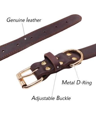 Tagme Personalized Leather Dog Collar for Medium & Large Dogs - Custom Engraved Name & Phone Number - Brown (L) - Durable & Stylish - Buy Online on SooperMarket.com