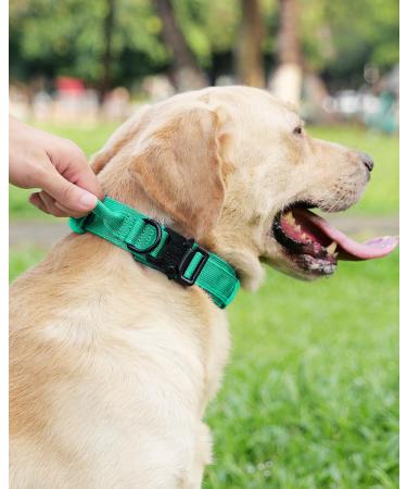 Joytale Tactical Dog Collar | Durable Dog Collar with Handle for Large Dogs | XL Turquoise with QR Code Dog Tag - International Shipping Available - Buy Online on SooperMarket.com